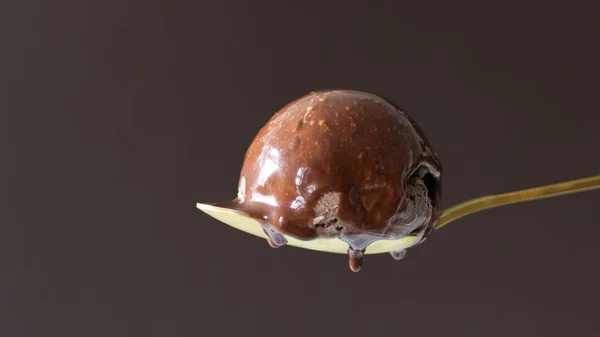 Uma Colher Sorvete Chocolate Com Cobertura Chocolate Derretido Topo Deserto — Fotografia de Stock