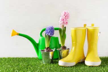 Bahçecilik aletleri ve çiçekler beyaz ahşap arka planda çimen dikmek için. Bahçe işleri hobileri.