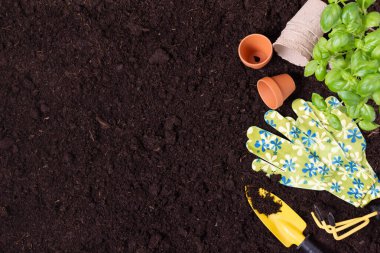 Bahçe aletleri ve bitkiler toprak arka plan görünümünde. Bahar bahçıvanlığı hobileri.