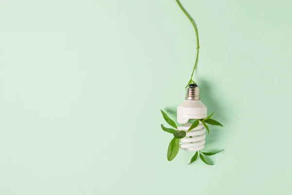 Light bulb with green plant as a concept of eco energy. Creative idea of energy saving.
