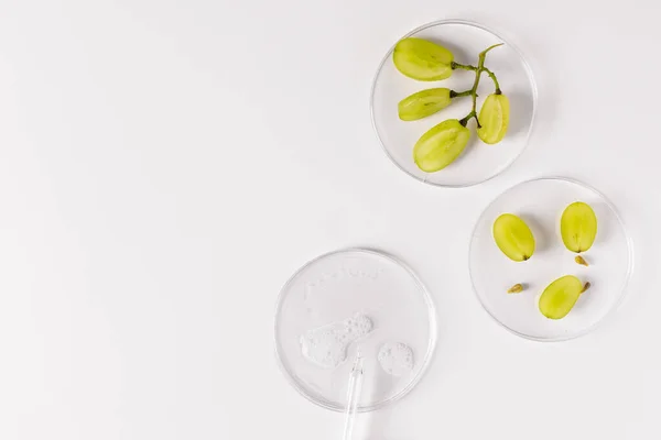Pratos Petri Com Ingredientes Uva Para Produtos Cosméticos Orgânicos Uva — Fotografia de Stock