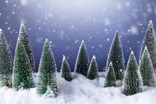 Foresta Invernale Con Alberi Natale Nella Notte Innevata Biglietto Auguri — Foto Stock