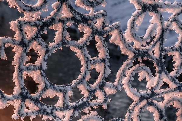 Frost kristallerle kaplı demir çit — Stok fotoğraf