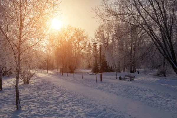 Linda paisagem de inverno — Fotografia de Stock