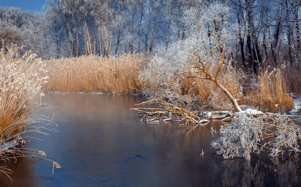 Frostiga Dimmig morgon på floden — Stockfoto