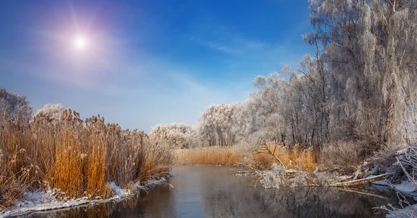 Fantastiskt vinterlandskap — Stockfoto