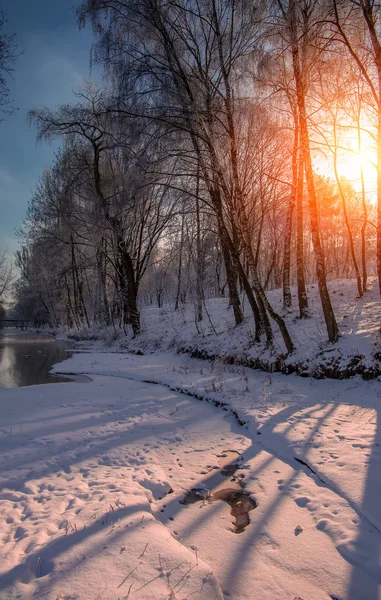 Maravillosa escena de invierno —  Fotos de Stock