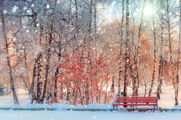 Beco no parque banco vermelho gelado — Fotografia de Stock