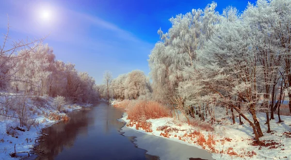 Majestik escena de invierno Imagen de archivo