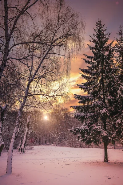 Fantastisk vinter solnedgång. dramatiska kvällshimlen — Stockfoto