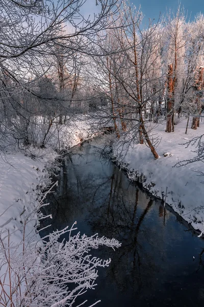 Туманное утро в городском парке . — стоковое фото