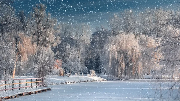 Beautiful sunny morning in city park. — Stock Photo, Image