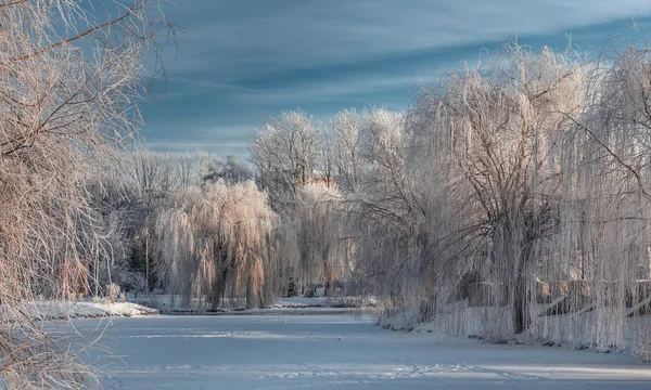 Vacker solig morgon i stadsparken. — Stockfoto