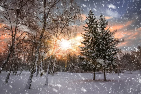 Fantástico pôr-do-sol de inverno. dramático céu noturno — Fotografia de Stock