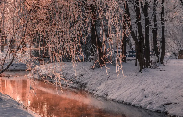 Blick solen på vattnet — Stockfoto