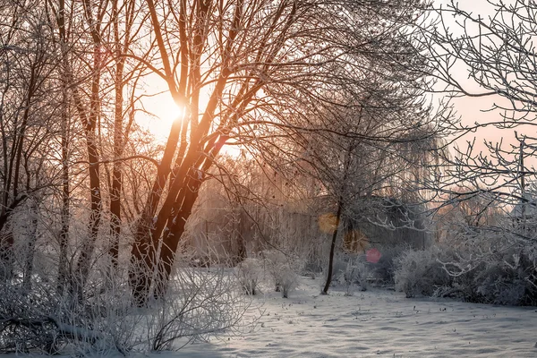 Vackra landskap på morgonen. — Stockfoto