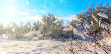 güzel kış arka plan