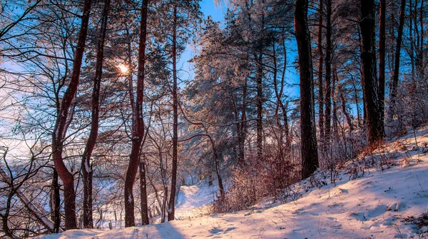 Zimowe krajobraz w rannym słońcu. — Zdjęcie stockowe