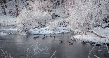 Muhteşem kış manzarası