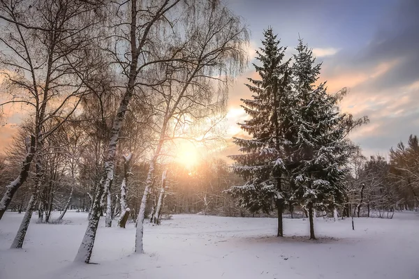 Сказочный зимний закат. драматическое вечернее небо — стоковое фото