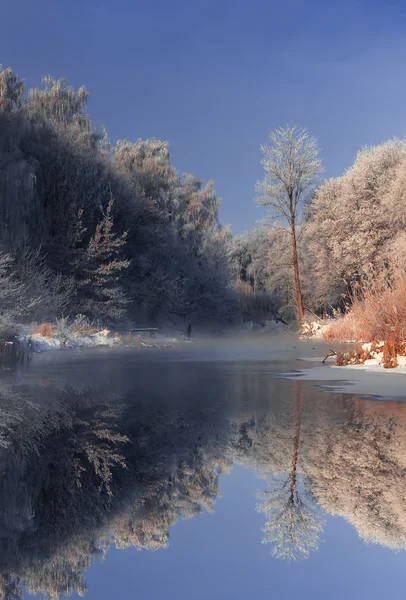 Matin brumeux givré sur la rive — Photo