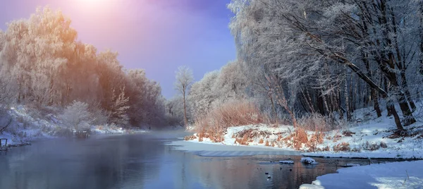 Морозний туманний ранок на річці — стокове фото