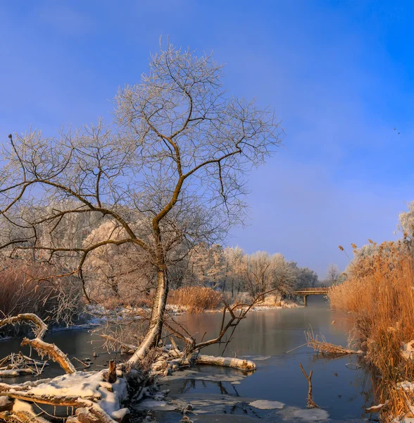 Frostiga Dimmig morgon vid floden — Stockfoto