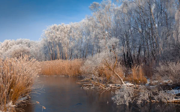 Matin brumeux givré sur la rive — Photo