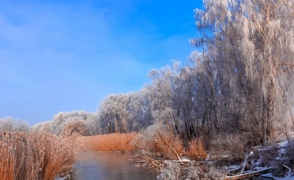 Frostiga Dimmig morgon på floden — Stockfoto
