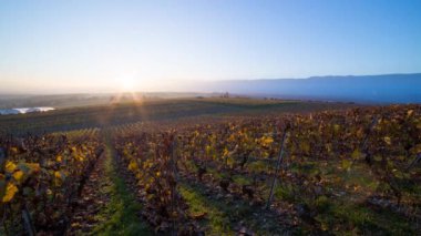 Günbatımı üzerinde üzüm bağları zaman atlamalı