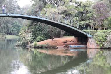 Kırmızı Ağaç Parkı