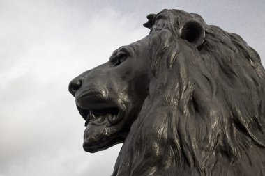 Londra'nın aslan Trafalgar Meydanı'nda