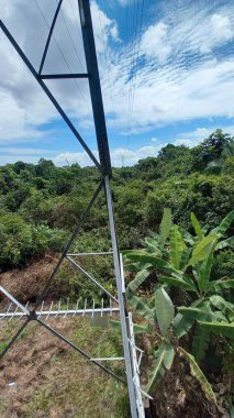 Dünya ormanları yasadışı ağaç kesme ve sınırsız sömürü nedeniyle çorak topraklara dönüştürüldü. Bir zamanlar kudretli ağaçlar artık ölü gövdelere dönüşmüştü..