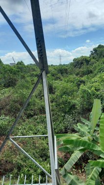 Dünya ormanları yasadışı ağaç kesme ve sınırsız sömürü nedeniyle çorak topraklara dönüştürüldü. Bir zamanlar kudretli ağaçlar artık ölü gövdelere dönüşmüştü..