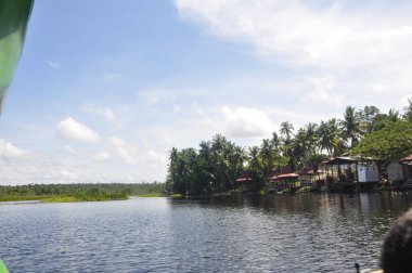 Nehir ya da göl gibi uçsuz bucaksız sulara sahip doğal manzara. Yüzey parıldıyor ve dalgalanmalar tavan penceresini hafifçe yansıtıyor. Uzakta yemyeşil ağaçlar yemyeşil, birkaç yüksek hindistan cevizi palmiyesi de dahil..