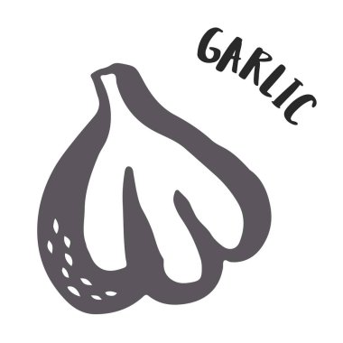 Beyaz arkaplanda mürekkep fırçasıyla boyanmış sarımsaklı el.