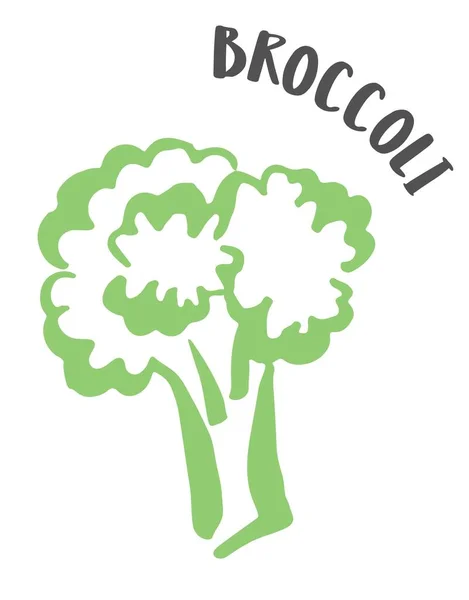 Broccoli hand geschilderd met inkt borstel geïsoleerd op witte achtergrond — Stockvector