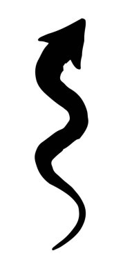 Mürekkep oklu, kıvrımlı, beyaz arka planda izole bir şekilde fırçayla boyanmış bir sembol. Vektör illüstrasyonu