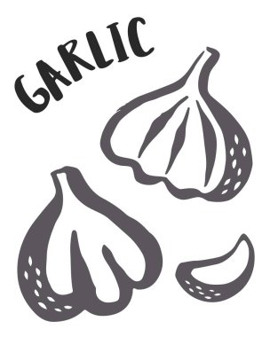 Beyaz arkaplanda mürekkep fırçasıyla boyanmış sarımsak seti