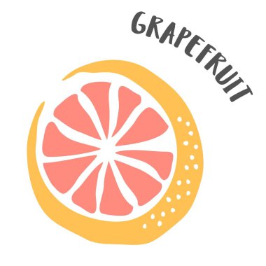 Grapefruit hand painted with ink brush isolated on white background vector