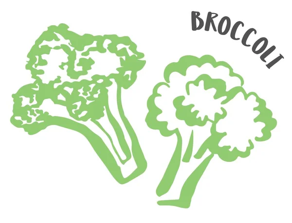 Set van 2 Broccoli hand geschilderd met inkt borstel geïsoleerd op witte achtergrond — Stockvector