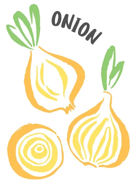 Set of onion vegetable hand painted with ink brush — Stock Vector