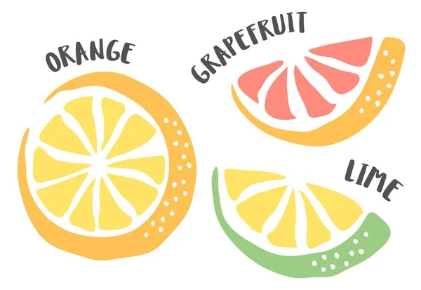 Orange, Limette und Grapefruit von Hand mit Tuschpinsel bemalt — Stockvektor