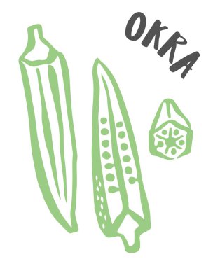 Bamya, beyaz arka planda mürekkep fırçasıyla boyanmış el resmi. Vektör illüstrasyonu