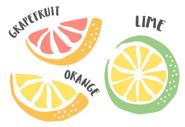 Grapefruit, Orange and Lime drawing hand painted with ink brush isolated on white background. Vector illustration vector