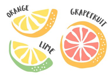 Lime, Grapefruit and Orange drawing hand painted with ink brush isolated on white background. Vector illustration vector