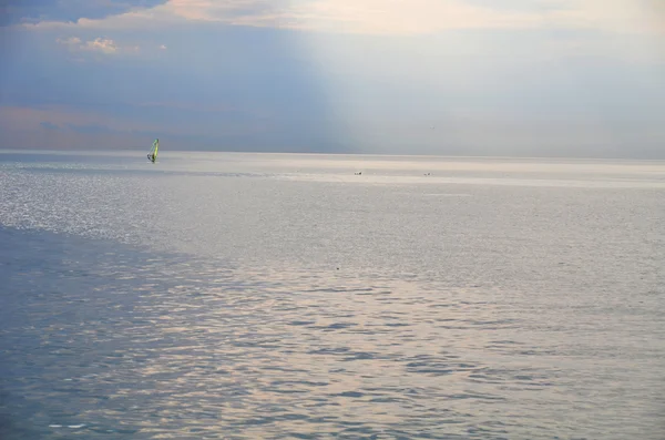 Um homem solitário e um golfinho no mar — Fotografia de Stock