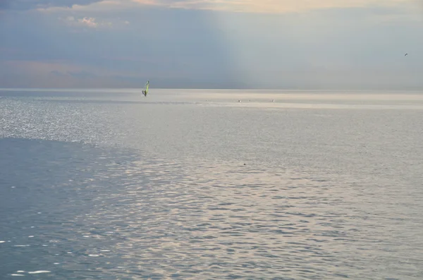 En ensam man och en ensam delfiner i havet — Stockfoto