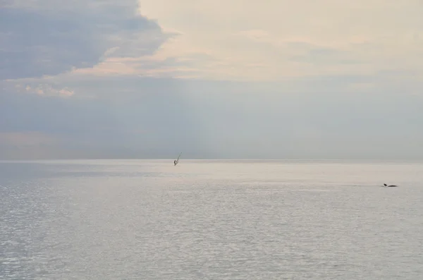 A lonely man and a lone dolphin in the sea — Stock Photo, Image