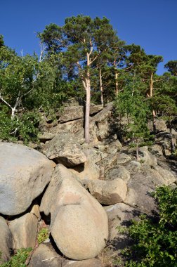 Dağ orman, Devlet ulusal Tabiat Parkı 